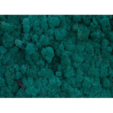 MECH Chrobotek Reniferowy (27.Pacific Blue) 5 kg